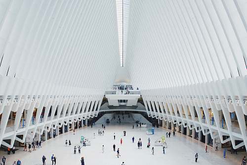 oculus group of people standing inside hall architecture